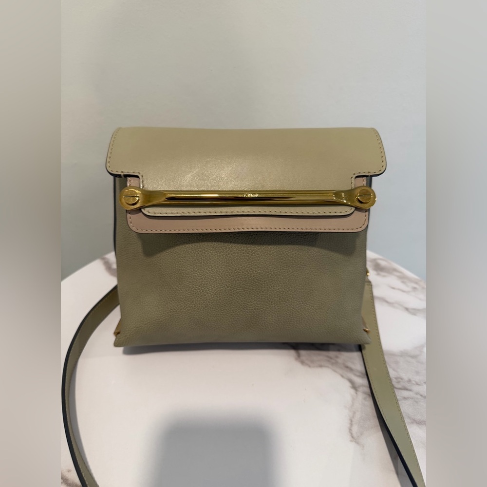 Chloe Sage Green/Gray Crossbody Bag with Gold Detail